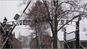 auschwitz focus on israel