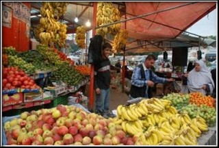 Croce Rossa Internazionale: “Non c’è nessuna crisi umanitaria a Gaza”