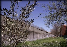 L’idiozia antisemita torna a Roma: divelto e poi bruciato ulivo piantato in una scuola nel Giorno della Memoria