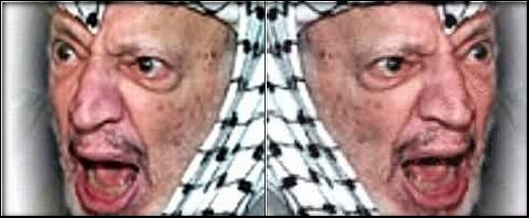 arafat-morte-terrorismo-palestinese-focus-on-israel