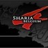 Il Belgio è diventato la base per le cellule jihadiste europee