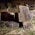 Francia: centinaia di tombe profanate in cimitero ebraico