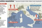 Isis, reclutavano terroristi: tre arresti in Italia e Albania