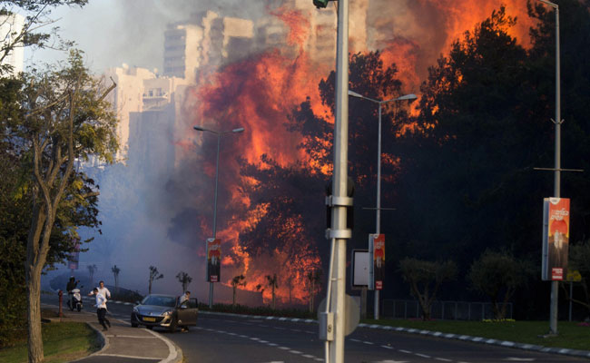 incendi-israele-esultanza-arabi-palestinesi-6-focus-on-israel