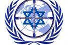 ONG all’attacco di Israele