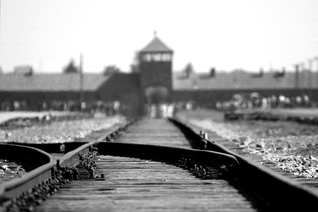 shoah-polonia-auschwitz-focus-on-israel