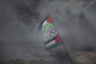 Hamas, la svastica e le bandiere palestinesi: tutto torna