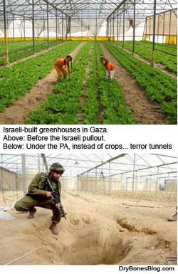 Gaza: la scelta dei palestinesi