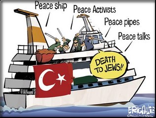 ONU: Usa e Germania con Israele chiedono stop a Freedom Flottilla