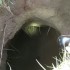 Confine Gaza-Israele: scoperto un tunnel scavato sotto la barriera difensiva