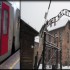 Belgio, annuncio shock sul treno: “Prossima fermata: Auschwitz. Gli ebrei possono scendere e fare una doccia”