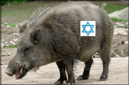 cinghiali-zoo-mossad-abu-mazen-focus-on-israel