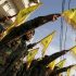 Hezbollah prepara tunnel e nuovi sistemi per la prossima guerra contro Israele?